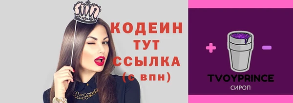 PSILOCYBIN Строитель