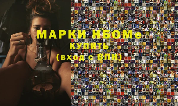 гашик Вяземский