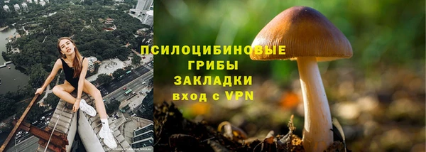 МДПВ Навашино