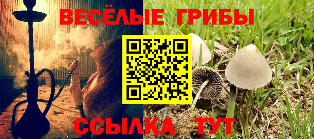 Галлюциногенные грибы прущие грибы  Вход с VPN  где можно купить наркотик  Белореченск 